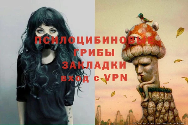 a pvp Арсеньев